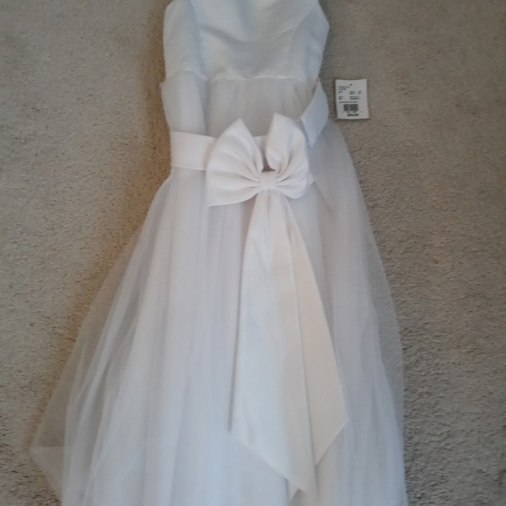 2 David's Bridal children's dresses